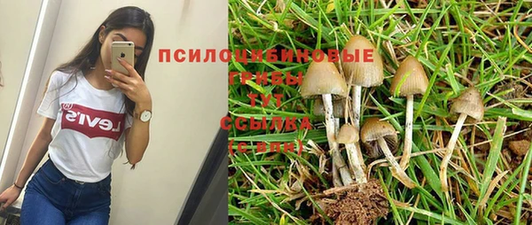 спайс Горно-Алтайск