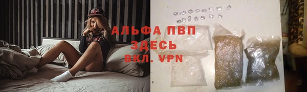 дживик Вязьма