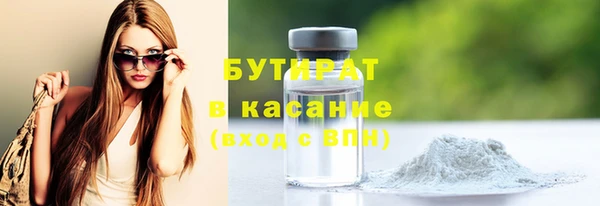 индика Горнозаводск