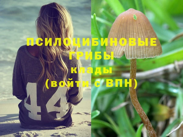 соль курить ск Вяземский