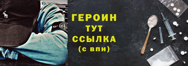 индика Горнозаводск