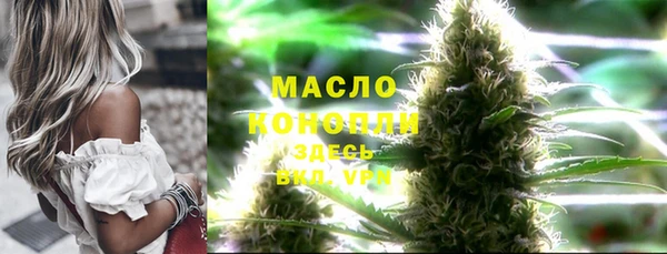 дживик Вязьма